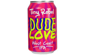 Tiny Rebel