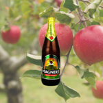 Cider