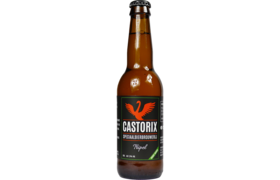 Castorix