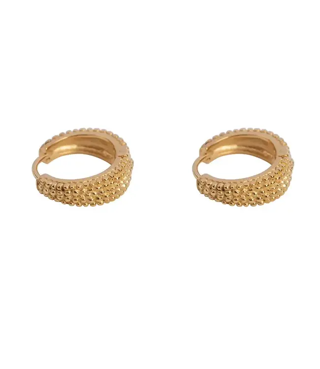 Betty Bogaers - Small Dotted Hoop earring - Gold