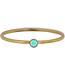 Charmin's Charmin's - Birthstone Ring December - Turquoise / Gold Plated