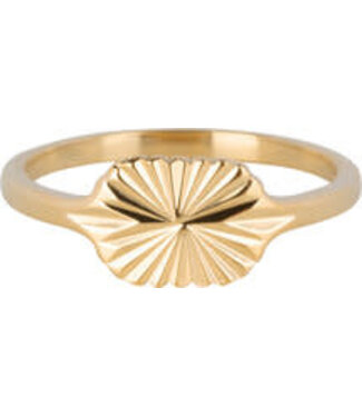 Charmin's Charmin's - Seal Ring Star Oval - Gold Steel 1345