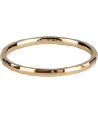 Charmin's Charmin's - Stapel Ring Angle - Gold Plated 311
