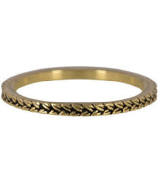 Charmin's Charmin's - Stapel Ring Braids - Gold Plated 448