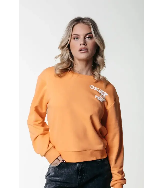 Colourful Rebel - Logo Wave Relaxed Sweat - Tangerine