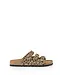 DWRS - Komodo Leopard Slipper - Cognac