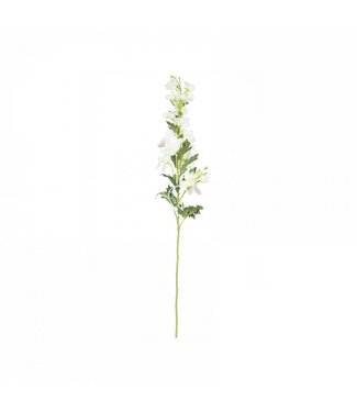 Blossom Home Essentials - Bloem Delphinium - Wit