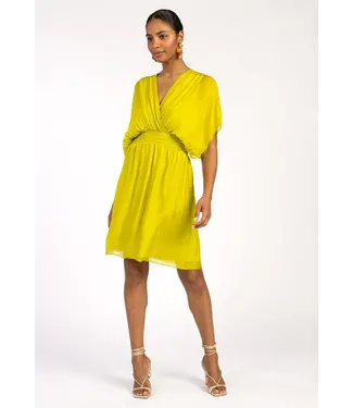 Aaiko Aaiko - Yoana Dress - Lime Sorbet