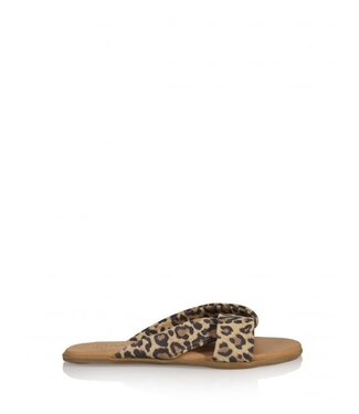 DWRS DWRS - Tibet Leopard Slipper - Cognac