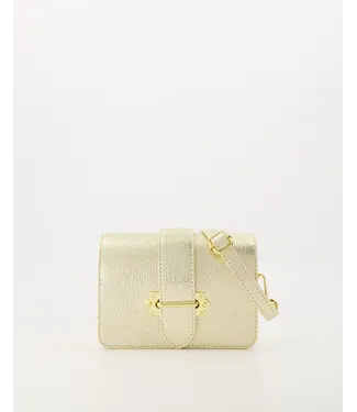 Blossom Essentials - Pria Leather Bag - Goud