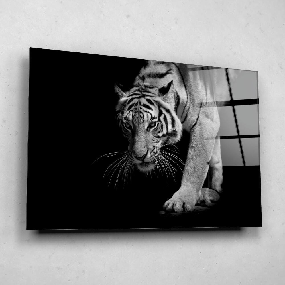 Schilderij Wandelende tijger in zwart-wit | 150 x 100 cm glasschilderij Schilderij Wandelende tijger in zwart-wit | 150 x 100 cm glasschilderij