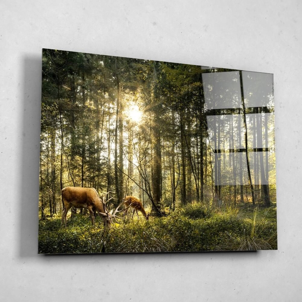 Schilderij Reeën grazen in het prachtige bos | 120 x 90 cm glasschilderij Schilderij Reeën grazen in het prachtige bos | 120 x 90 cm glasschilderij