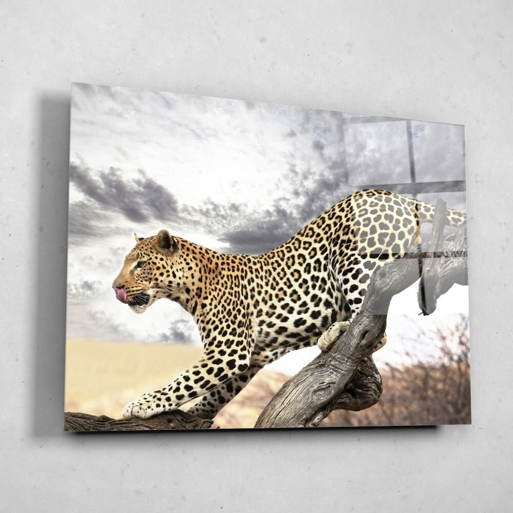 Schilderij Luipaard op jacht | 120 x 90 cm glasschilderij Schilderij Luipaard op jacht | 120 x 90 cm glasschilderij