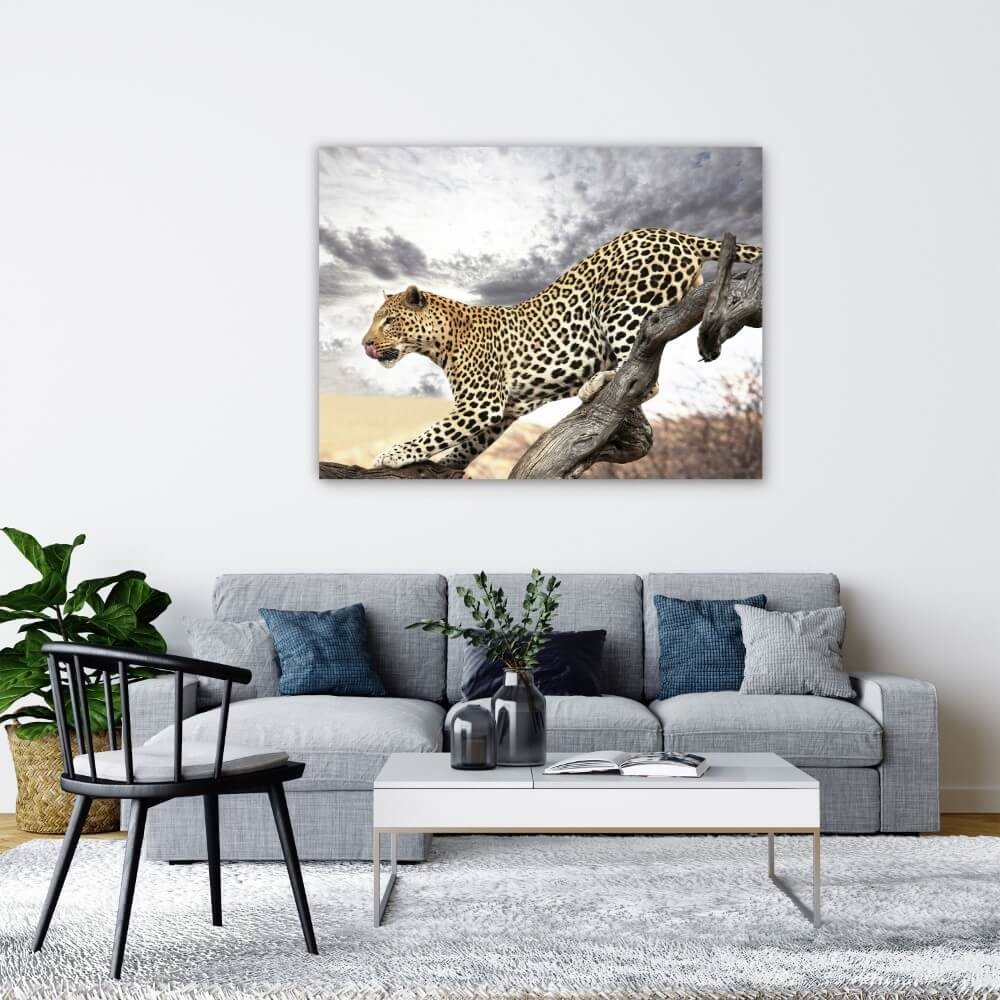 Schilderij Luipaard op jacht | 120 x 90 cm glasschilderij Schilderij Luipaard op jacht | 120 x 90 cm glasschilderij