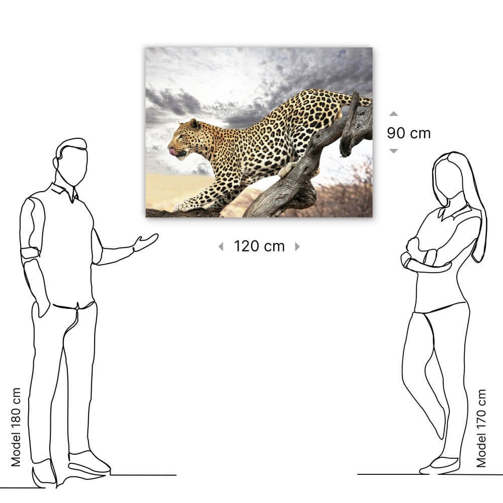 Schilderij Luipaard op jacht | 120 x 90 cm glasschilderij Schilderij Luipaard op jacht | 120 x 90 cm glasschilderij