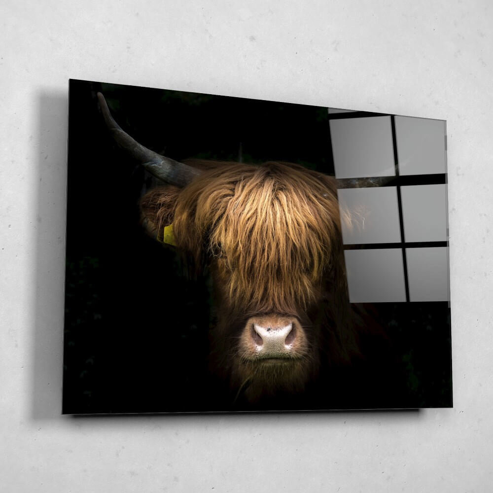 Schilderij Fantastisch portret van een Schotse hooglander | 80 x 60 cm glasschilderij Schilderij Fantastisch portret van een Schotse hooglander | 80 x 60 cm glasschilderij