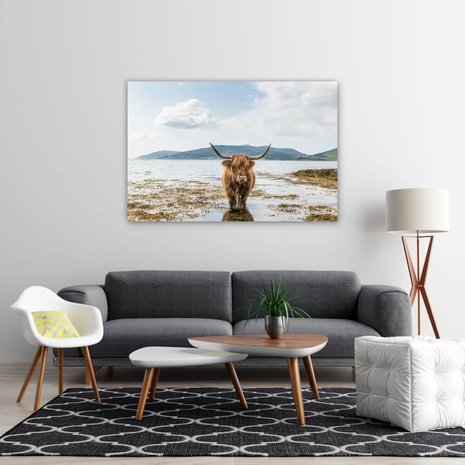 Schilderij Schotse hooglander aan het afkoelen | 120 x 80 cm glasschilderij Schilderij Schotse hooglander aan het afkoelen | 120 x 80 cm glasschilderij