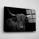 Zwart-wit portret van een harige Schotse hooglander | 120 x 80 cm Zwart-wit portret van een harige Schotse hooglander | 120 x 80 cm