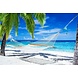 Hangmat tussen palmbomen op tropisch strand | 90 x 60 cm Hangmat tussen palmbomen op tropisch strand | 90 x 60 cm