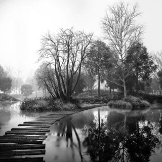 Schilderij landschap en natuur