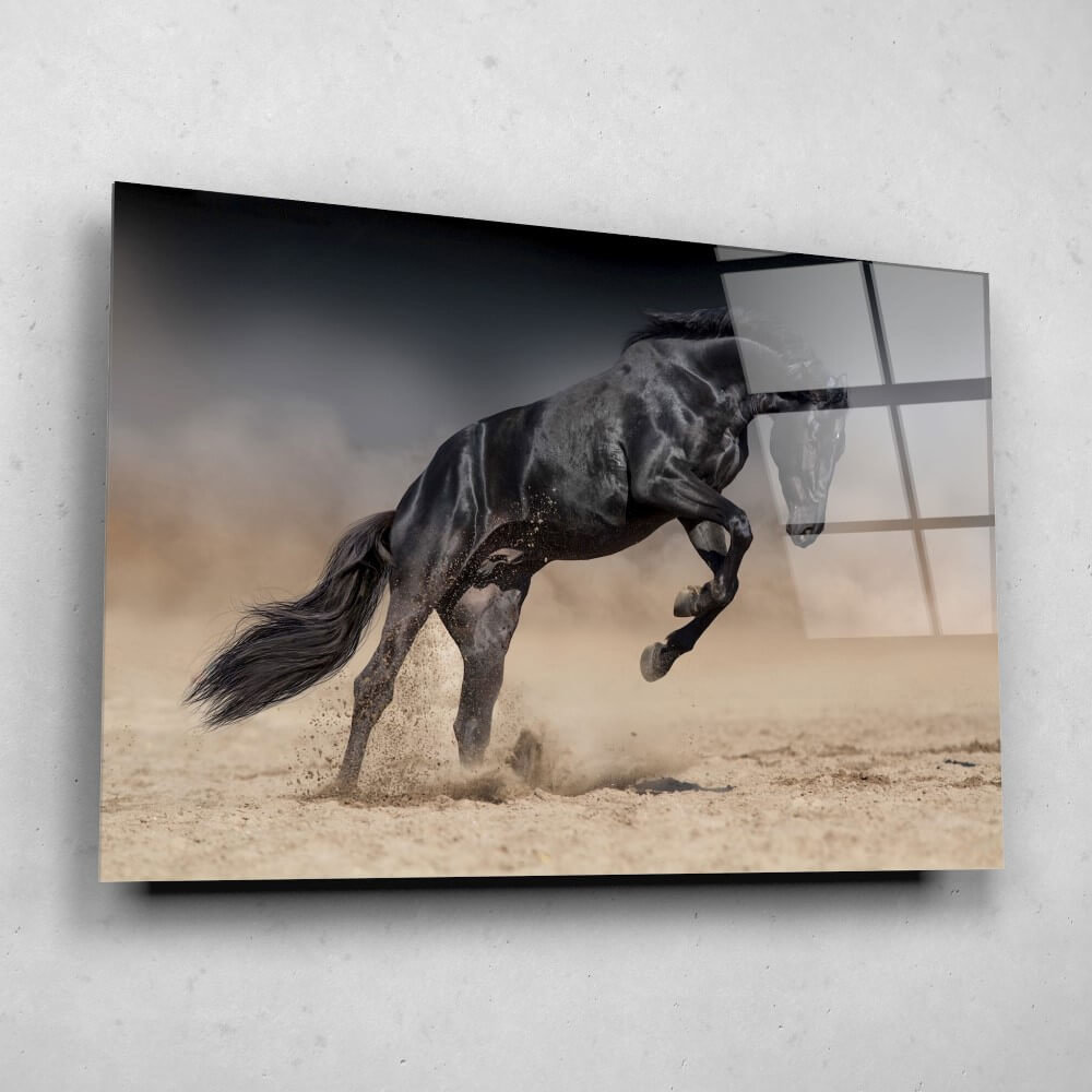 Doe het niet moederlijk verhouding Steigerend zwart paard • 120 x 80 cm • Glazenschilderijen.nl