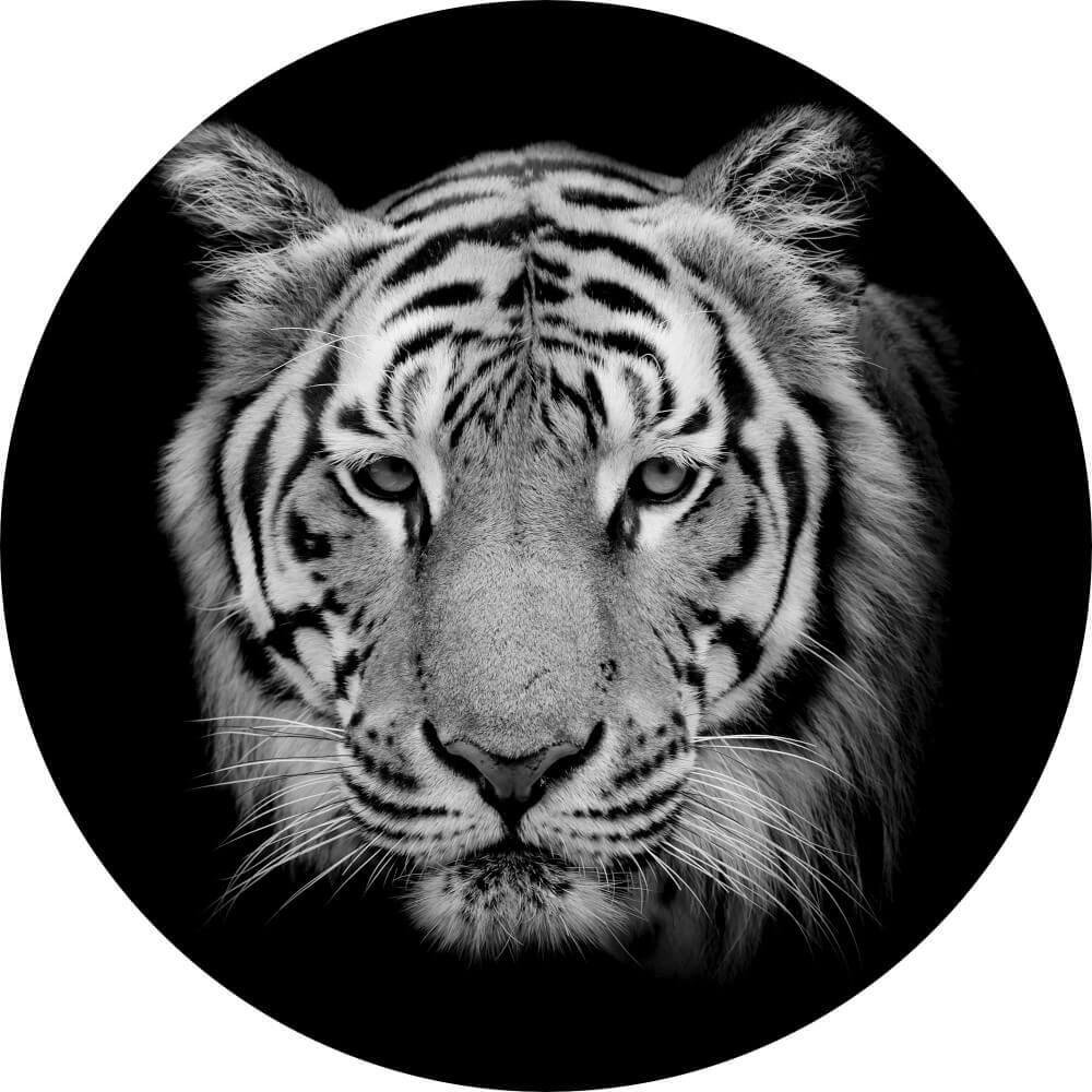 Schilderij Prachtige close-up van tijger in zwart-wit | Rond 70 cm glasschilderij Schilderij Prachtige close-up van tijger in zwart-wit | Rond 70 cm glasschilderij