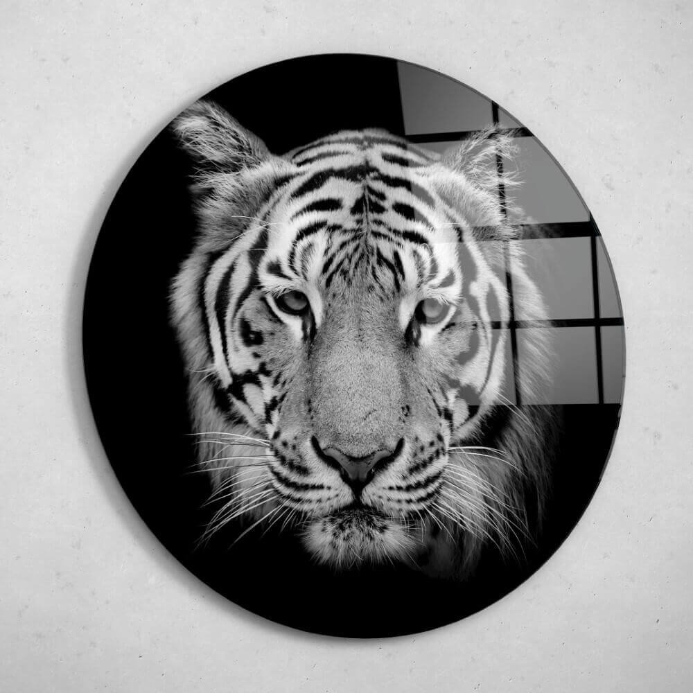 Schilderij Prachtige close-up van tijger in zwart-wit | Rond 70 cm glasschilderij Schilderij Prachtige close-up van tijger in zwart-wit | Rond 70 cm glasschilderij