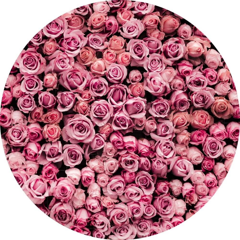 Muurcirkel Bloemenmuur met roze rozen Muurcirkel Bloemenmuur met roze rozen