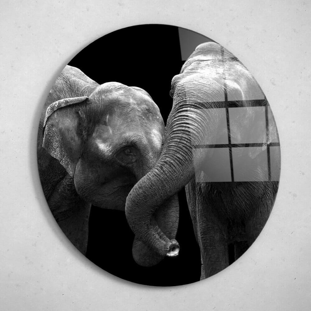 Schilderij Twee verliefde olifanten samen in zwart-wit | Rond 50 cm glasschilderij Schilderij Twee verliefde olifanten samen in zwart-wit | Rond 50 cm glasschilderij