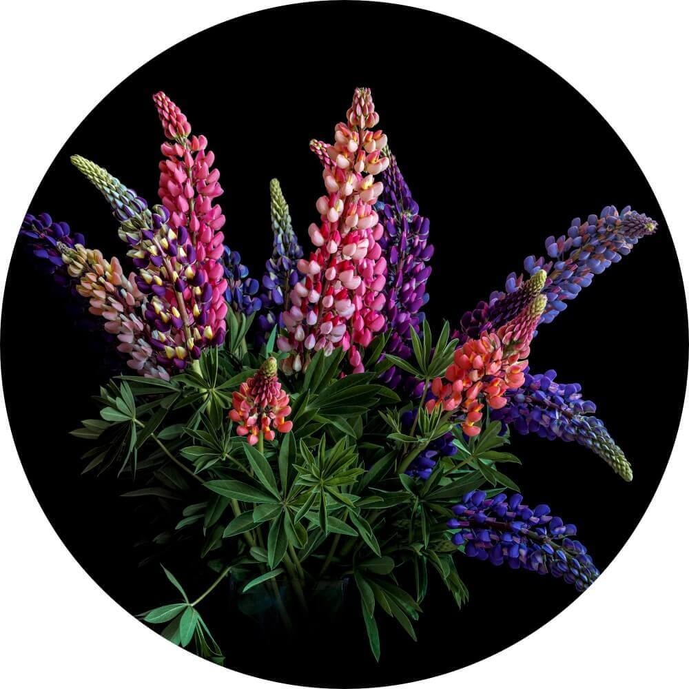 Muurcirkel Boeket van lupinebloemen Muurcirkel Boeket van lupinebloemen