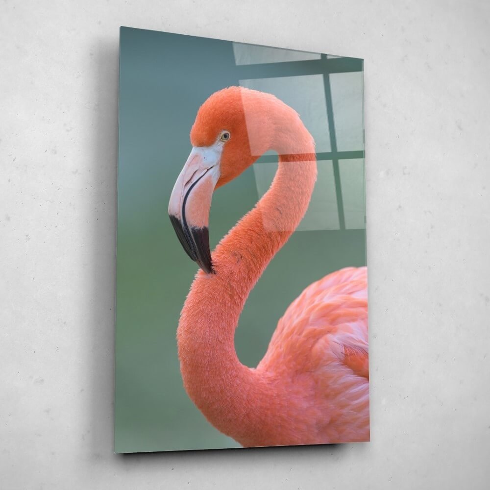 Schilderij Flamingo van dichtbij | 60 x 90 cm glasschilderij Schilderij Flamingo van dichtbij | 60 x 90 cm glasschilderij