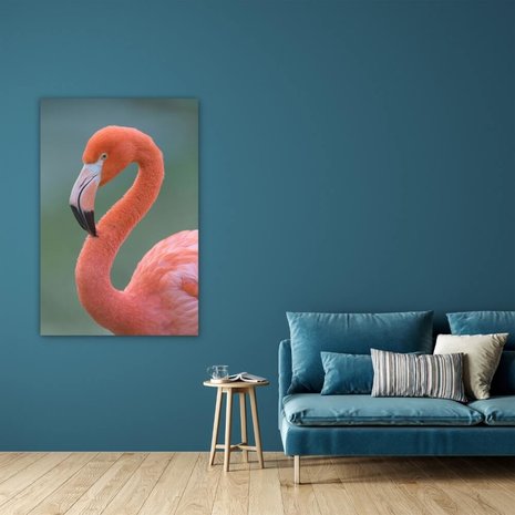 Schilderij Flamingo van dichtbij | 60 x 90 cm glasschilderij Schilderij Flamingo van dichtbij | 60 x 90 cm glasschilderij