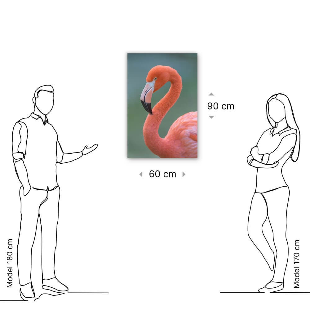 Schilderij Flamingo van dichtbij | 60 x 90 cm glasschilderij Schilderij Flamingo van dichtbij | 60 x 90 cm glasschilderij