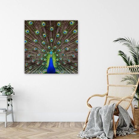 Schilderij Portret van een prachtige pauw | 80 x 80 cm glasschilderij Schilderij Portret van een prachtige pauw | 80 x 80 cm glasschilderij