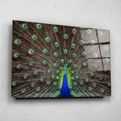 Schilderij Portret van een prachtige pauw | 150 x 100 cm glasschilderij Schilderij Portret van een prachtige pauw | 150 x 100 cm glasschilderij