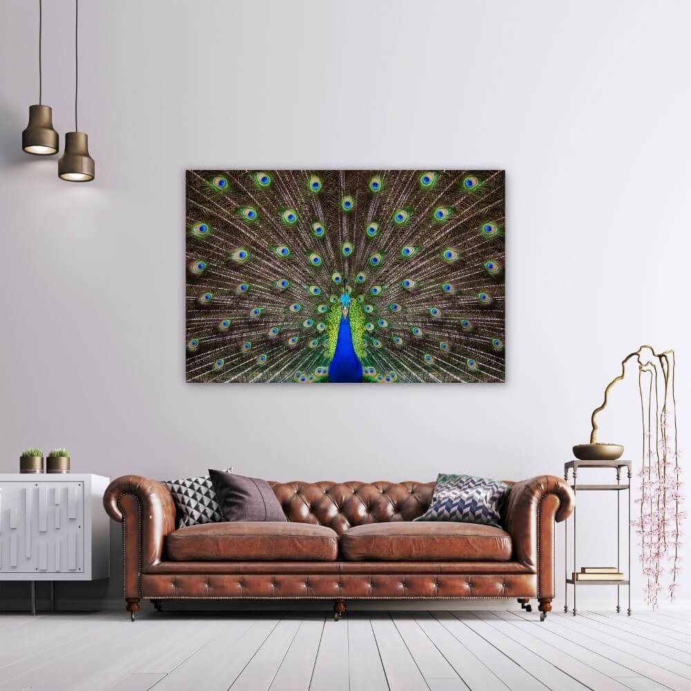 Schilderij Portret van een prachtige pauw | 150 x 100 cm glasschilderij Schilderij Portret van een prachtige pauw | 150 x 100 cm glasschilderij