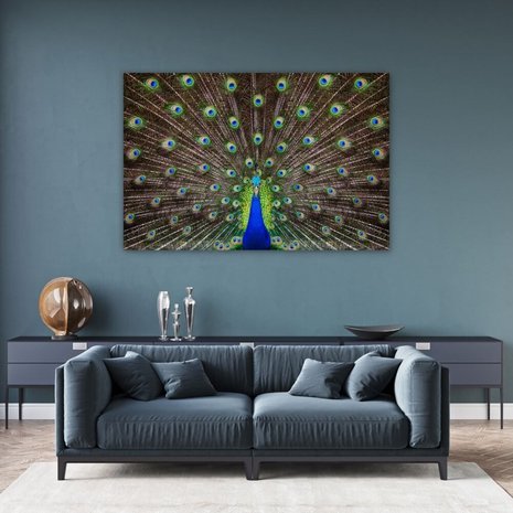 Schilderij Portret van een prachtige pauw | 150 x 100 cm glasschilderij Schilderij Portret van een prachtige pauw | 150 x 100 cm glasschilderij