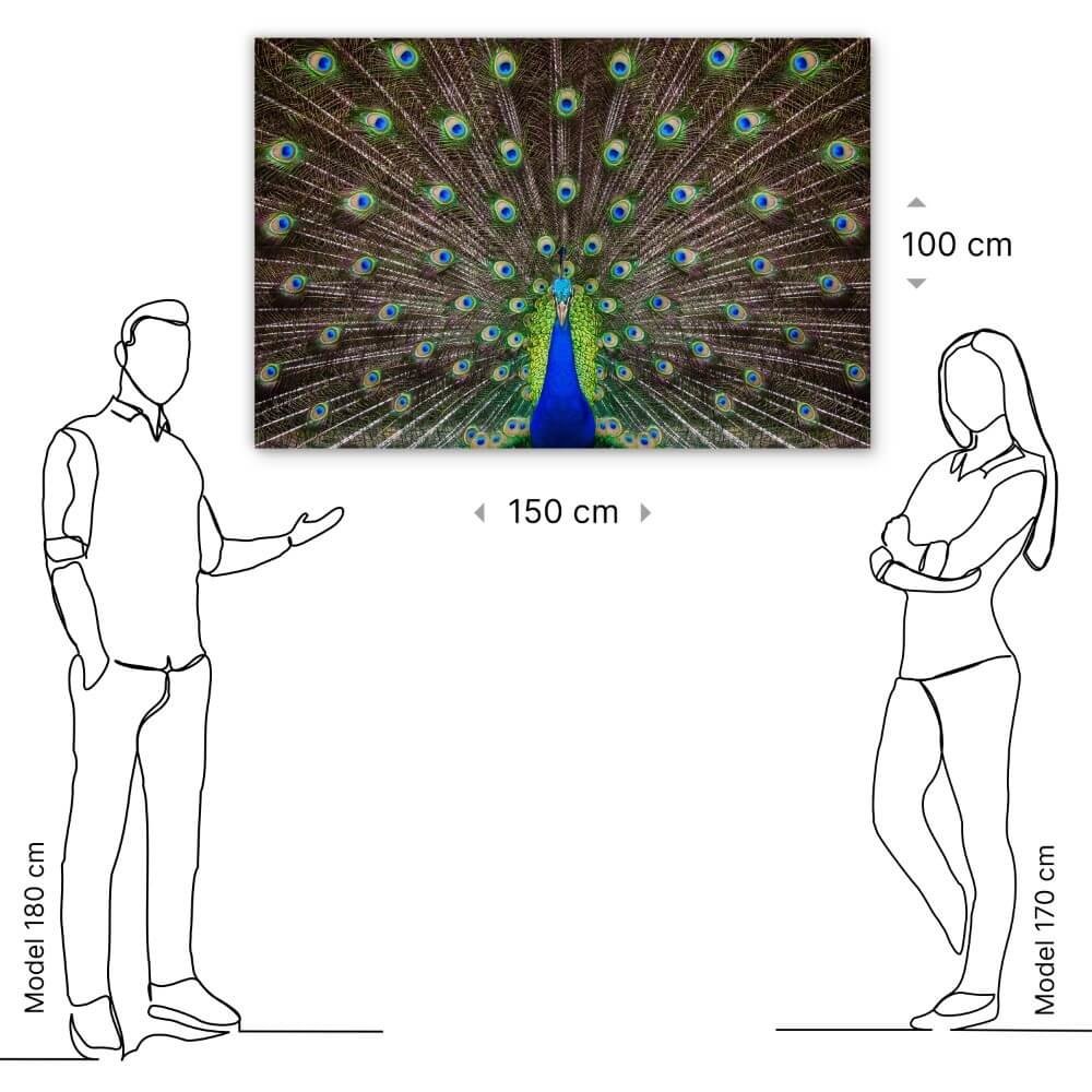Schilderij Portret van een prachtige pauw | 150 x 100 cm glasschilderij Schilderij Portret van een prachtige pauw | 150 x 100 cm glasschilderij