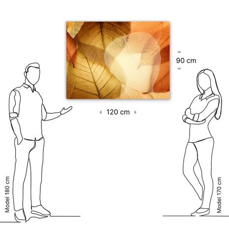 Schilderij Transparante en delicate bladeren | 120 x 90 cm glasschilderij Schilderij Transparante en delicate bladeren | 120 x 90 cm glasschilderij