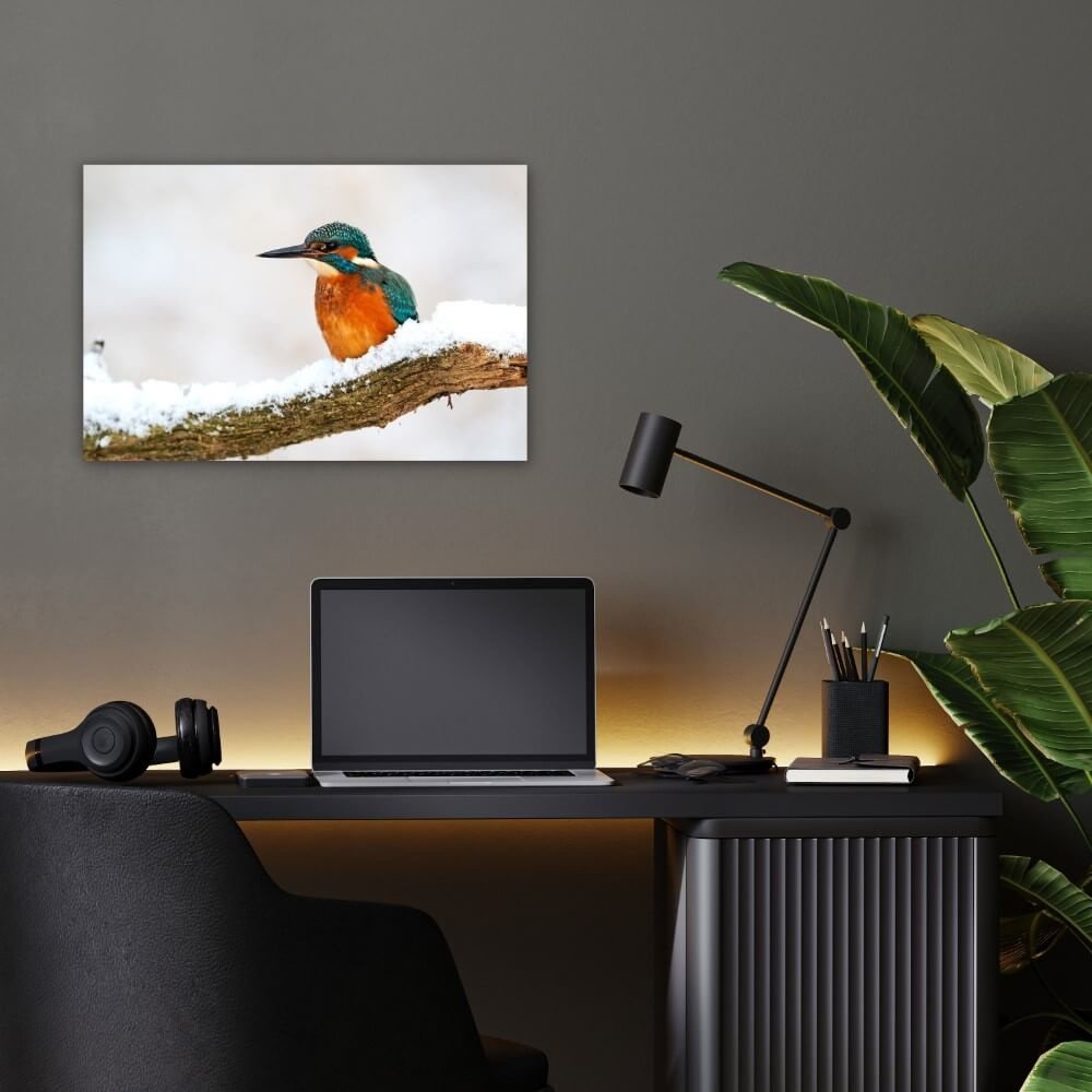 Schilderij Kleurrijke ijsvogel in de winter | 60 x 40 cm glasschilderij Schilderij Kleurrijke ijsvogel in de winter | 60 x 40 cm glasschilderij