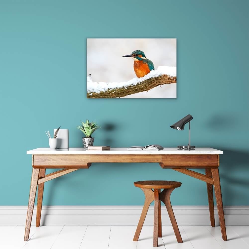 Schilderij Kleurrijke ijsvogel in de winter | 60 x 40 cm glasschilderij Schilderij Kleurrijke ijsvogel in de winter | 60 x 40 cm glasschilderij