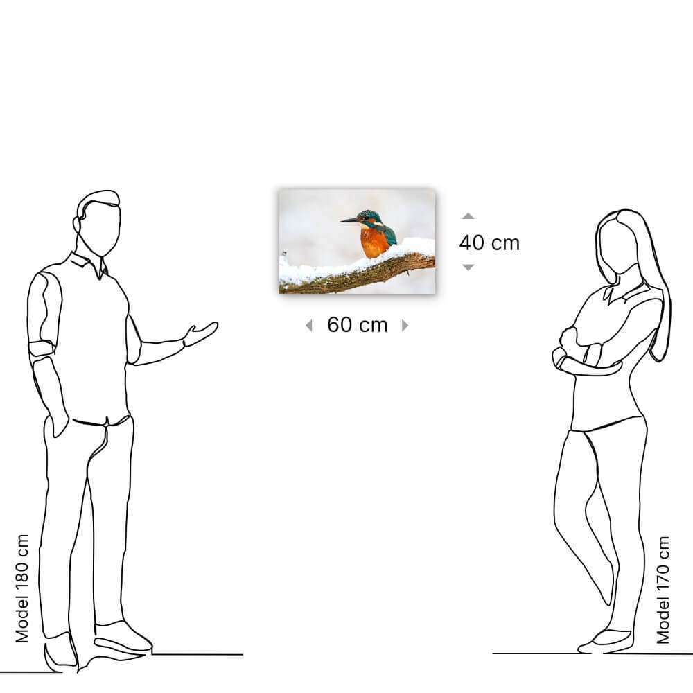 Schilderij Kleurrijke ijsvogel in de winter | 60 x 40 cm glasschilderij Schilderij Kleurrijke ijsvogel in de winter | 60 x 40 cm glasschilderij