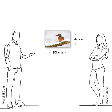 Schilderij Kleurrijke ijsvogel in de winter | 60 x 40 cm glasschilderij Schilderij Kleurrijke ijsvogel in de winter | 60 x 40 cm glasschilderij