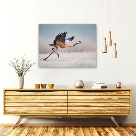 Schilderij Majestueuze kraanvogel klaar voor de start | 80 x 60 cm glasschilderij Schilderij Majestueuze kraanvogel klaar voor de start | 80 x 60 cm glasschilderij