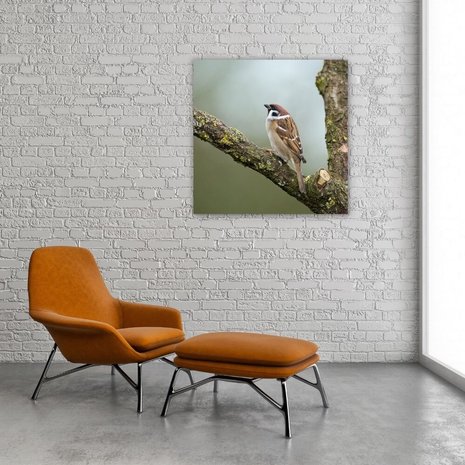 Schilderij Rustige mus op een boomtak | 80 x 80 cm glasschilderij Schilderij Rustige mus op een boomtak | 80 x 80 cm glasschilderij