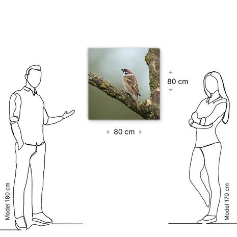 Schilderij Rustige mus op een boomtak | 80 x 80 cm glasschilderij Schilderij Rustige mus op een boomtak | 80 x 80 cm glasschilderij