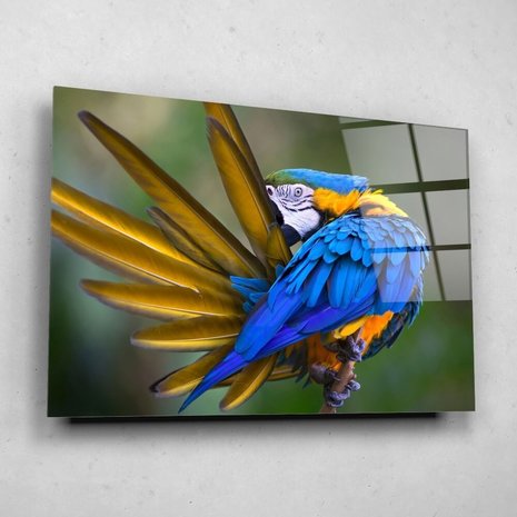 Schilderij Natuurlijke pracht van de papegaai | 60 x 40 cm glasschilderij Schilderij Natuurlijke pracht van de papegaai | 60 x 40 cm glasschilderij