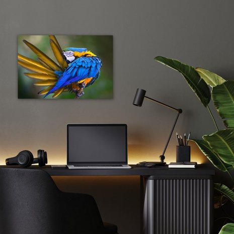Schilderij Natuurlijke pracht van de papegaai | 60 x 40 cm glasschilderij Schilderij Natuurlijke pracht van de papegaai | 60 x 40 cm glasschilderij