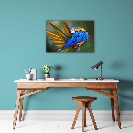 Schilderij Natuurlijke pracht van de papegaai | 60 x 40 cm glasschilderij Schilderij Natuurlijke pracht van de papegaai | 60 x 40 cm glasschilderij