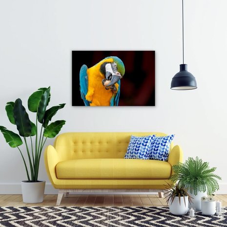 Schilderij Hongerige papegaai | 90 x 60 cm glasschilderij Schilderij Hongerige papegaai | 90 x 60 cm glasschilderij